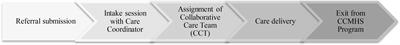 How collaborative mental health care for competitive and high-performance athletes is implemented: A novel interdisciplinary case study